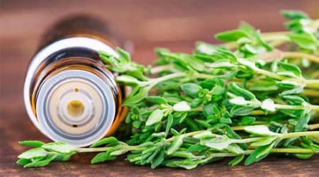 تصویر 2 از آویشن شیرازی خشک مرغوب با طعم ارگانیک و فوق العاده