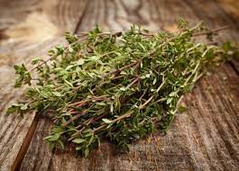 آویشن شیرازی خشک مرغوب با طعم ارگانیک و فوق العاده