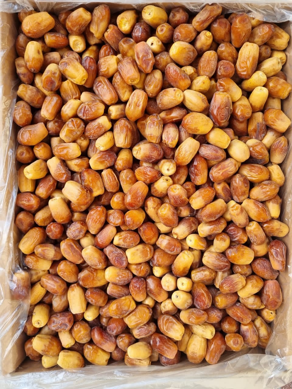 قیمت خرما زاهدی پشت کوه کیفیت عالی صادرات به کشور امارات ترکیه