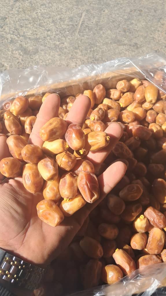 تصویر 2 از خرما زاهدی شیرین با طعم اصیل ایرانی