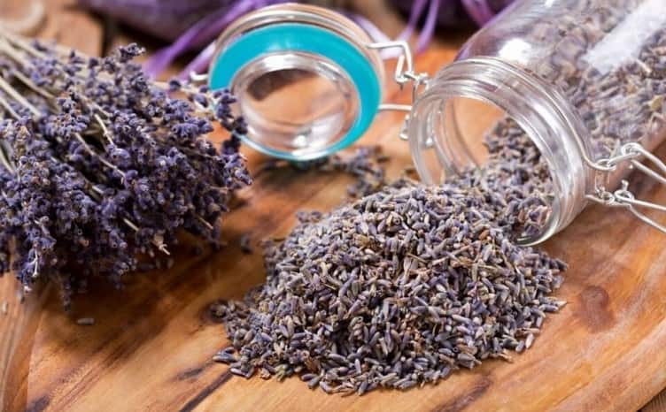 گیاه اسطوخودوس درجه یک در بسته بندی بهداشتی