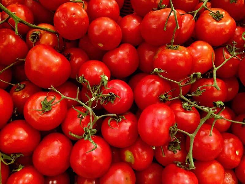تصویر 1 از گوجه فرنگی ارگانیک محلی قرمز عمده تازه و ارزان