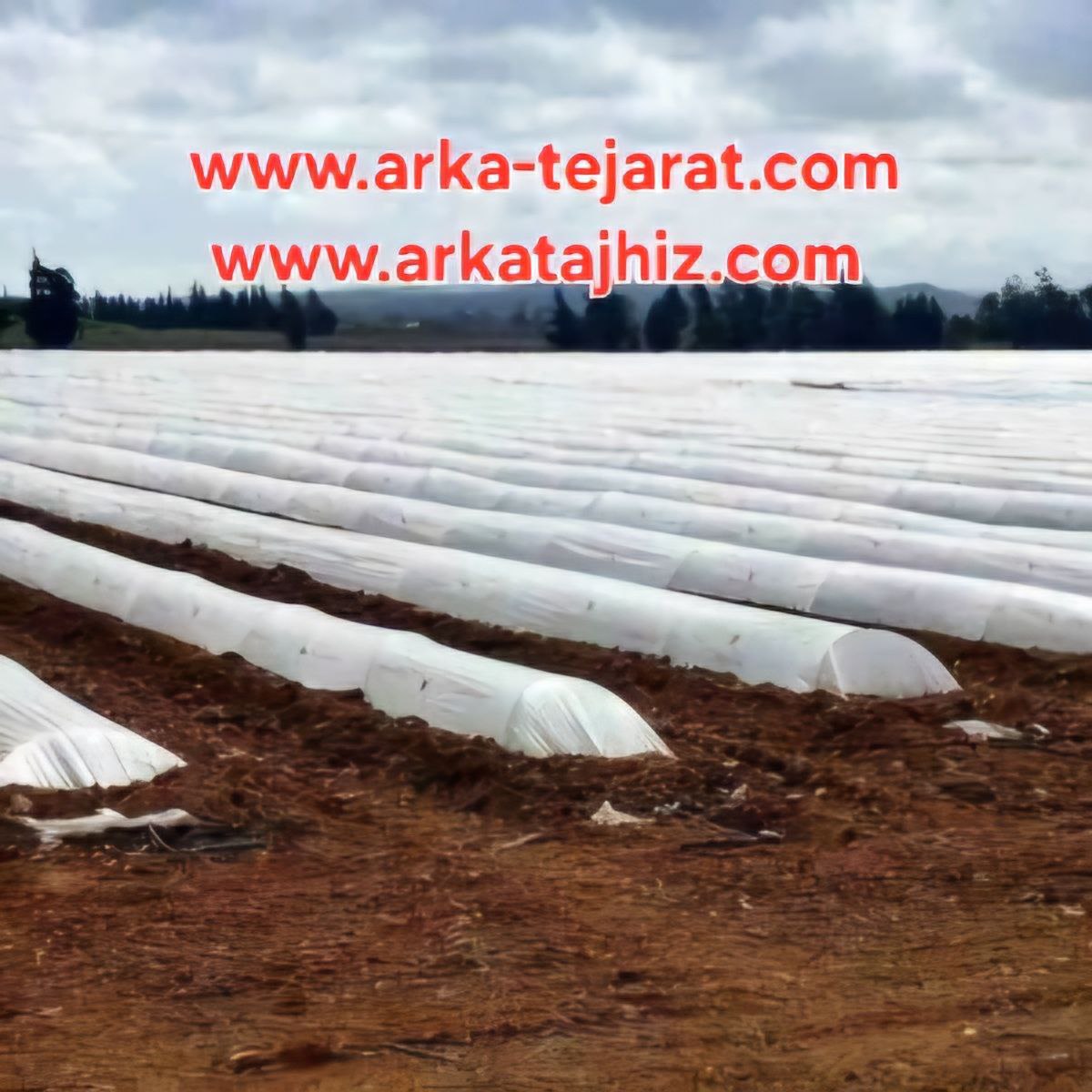 تصویر 4 از قیمت عمده فروشی کاور ضد سرما کشاورزی عرض 5 متر + ارسال سریع