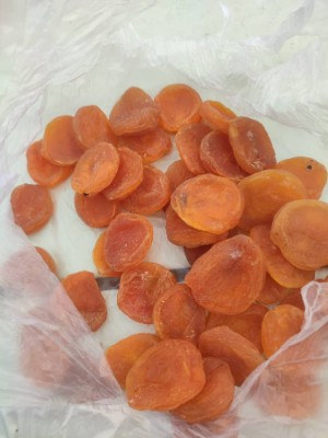 تصویر 3 از قیسی زردآلو شرکتی خرید