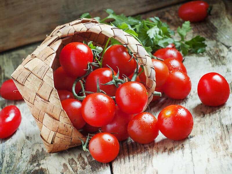 تصویر 2 از گوجه فرنگی ارگانیک طبیعی قرمز فله ممتاز باغی