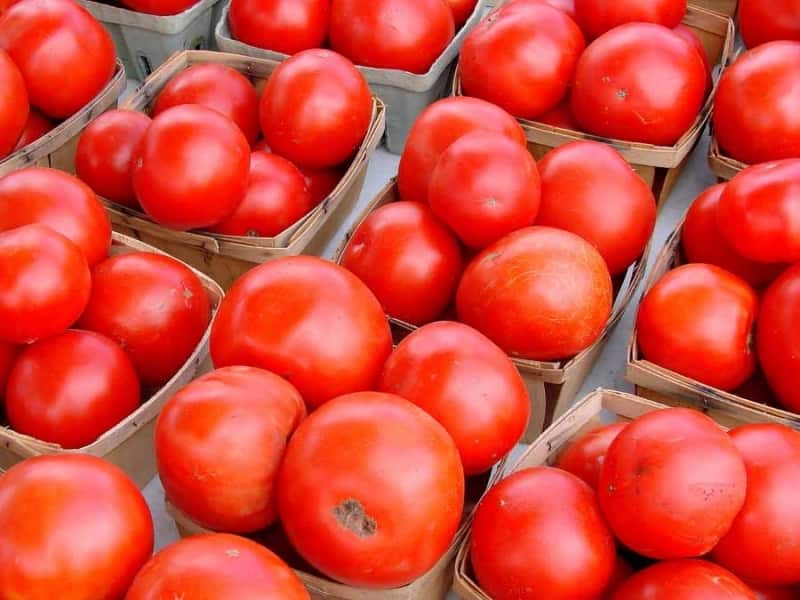 تصویر 3 از گوجه فرنگی رسمی ارگانیک قرمز ریز مرغوب و طبیعی