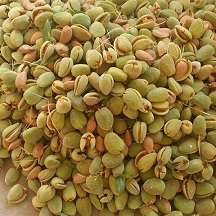 تصویر 4 از بهترین بادام درختی کوهی با طعم ناب و مطبوع