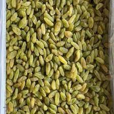 تصویر 2 از کشمش سبز قلمی کاشمر اعلا با طعم شیرین مناسب مهمانی‌ ها و مصرف روزانه