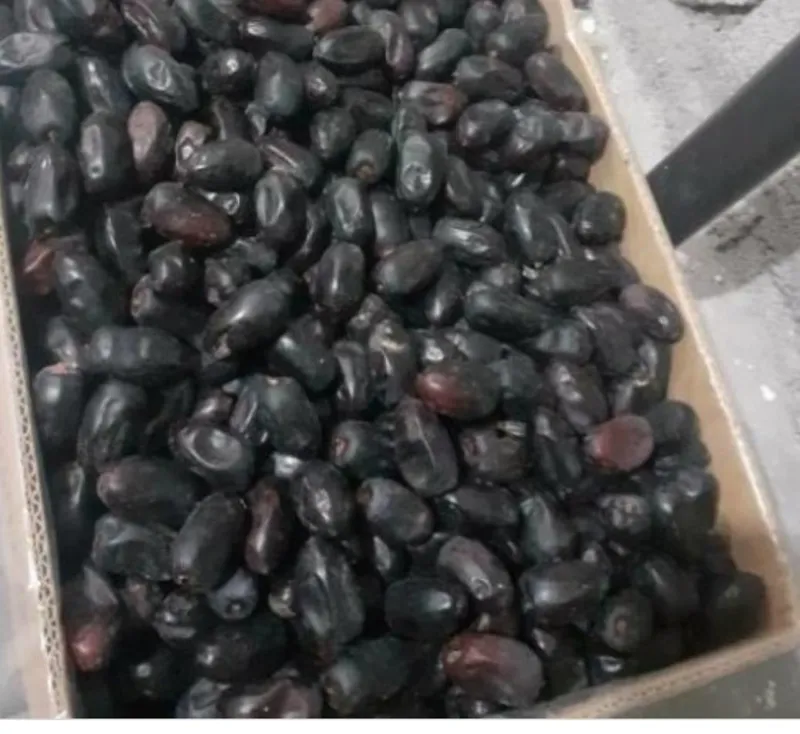 تصویر 3 از خرما مضافتی خوشه ای فله و ارزان مناسب مصرف روزانه