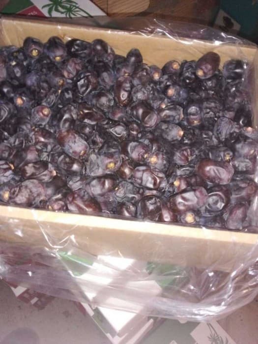 تصویر 4 از خرما مضافتی عمده 8 کیلویی تازه و با کیفیت ممتاز