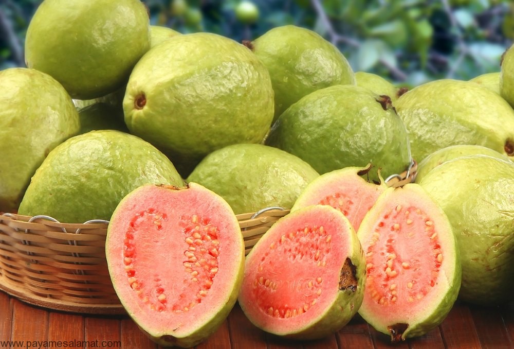 تصویر 3 از فروش گواوا جنوب