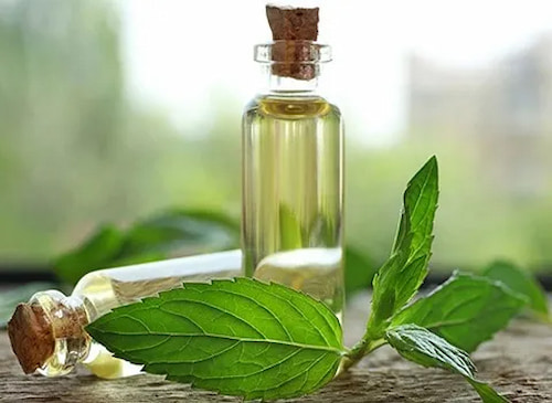 فروش اسانس نعنا