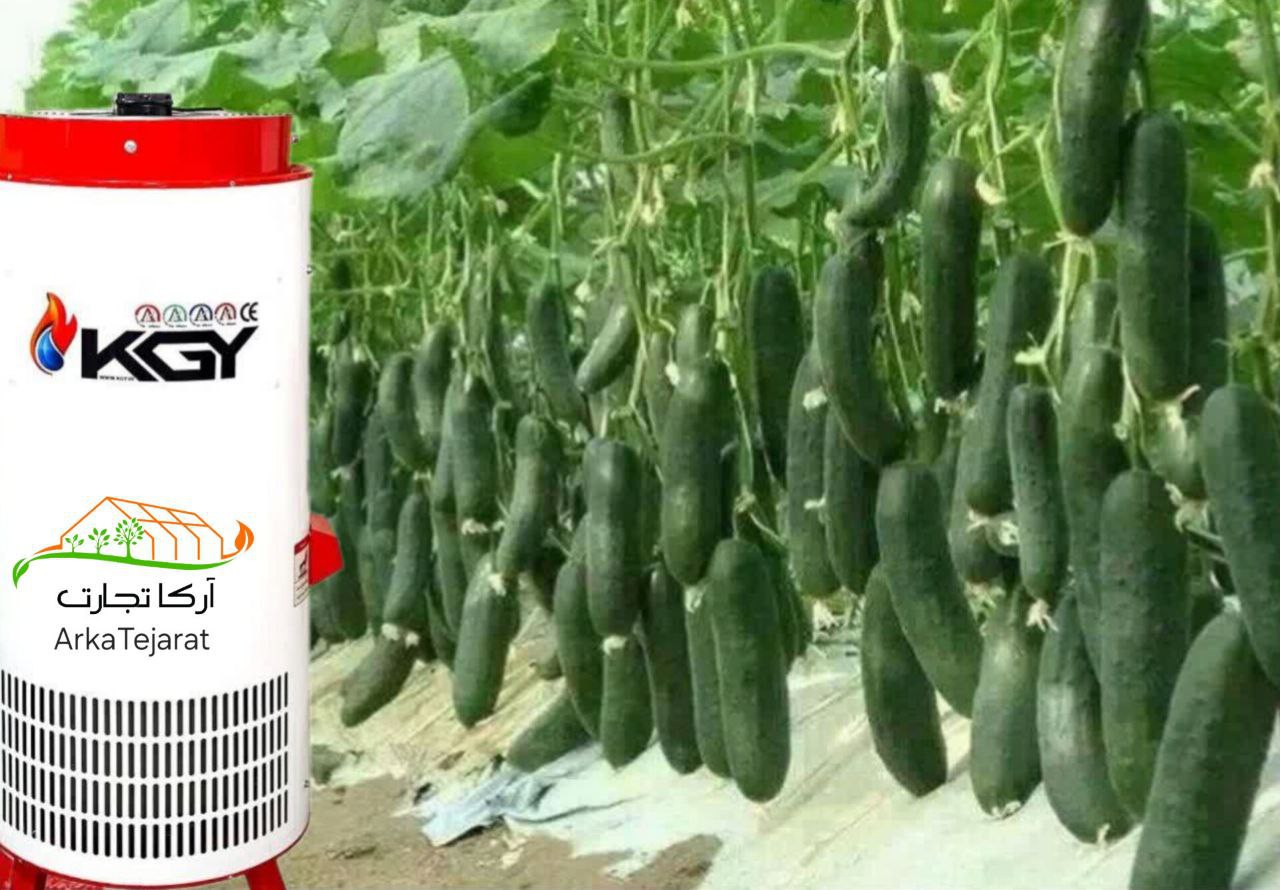 تصویر 1 از خرید بخاری کوچک گلخانه‌ای با تضمین کیفیت و قیمت + فروش بی‌واسطه