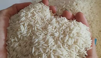 تصویر 4 از برنج فجر گرگان با عطر طبیعی و پخت عالی