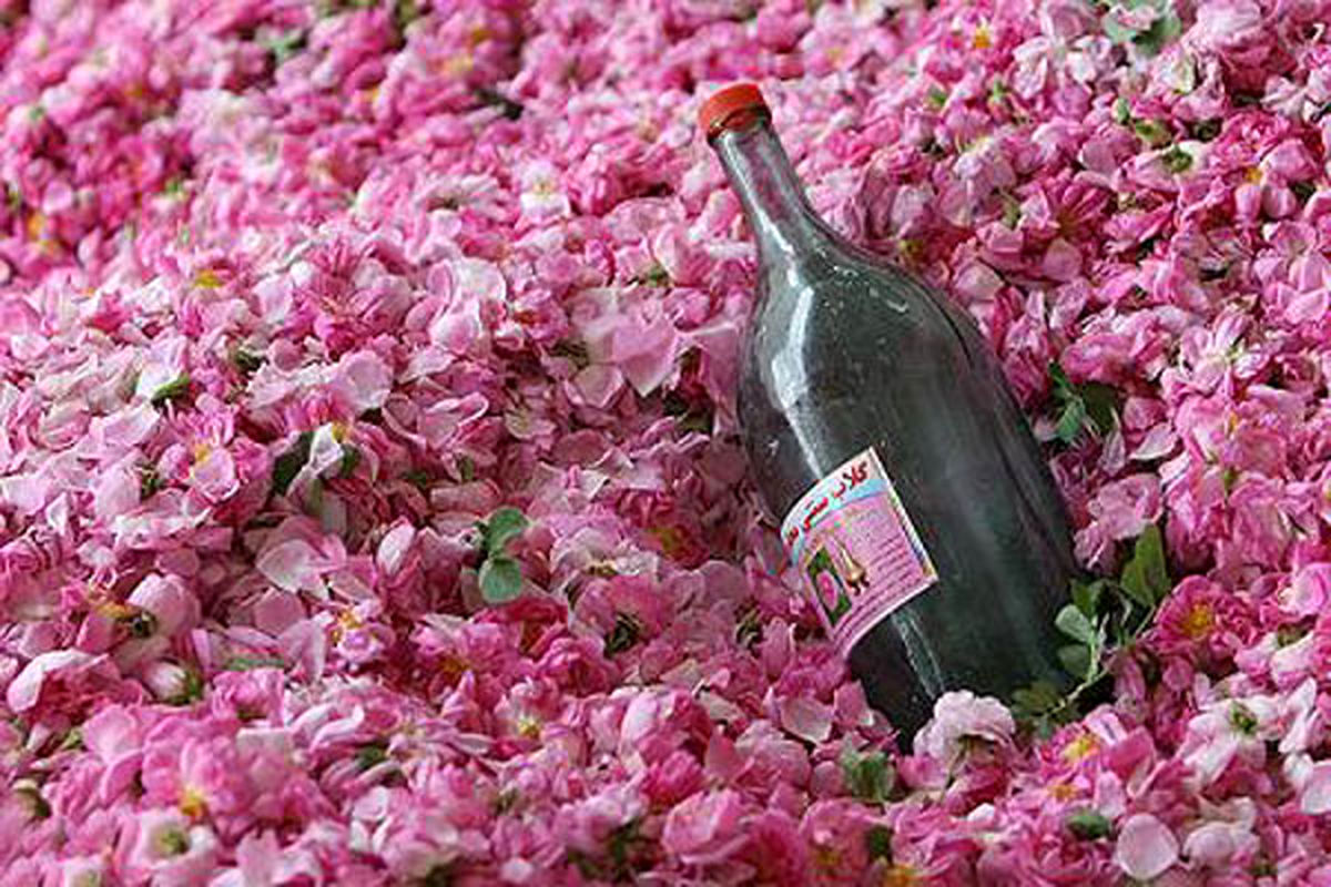 تصویر 2 از قیمت فروش استثنایی عرق گلاب ممتاز