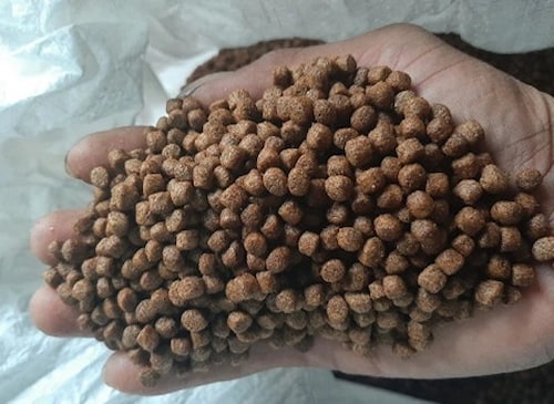 تصویر 4 از خوراک ماهی کپور + تغذیه کامل و هضم آسان