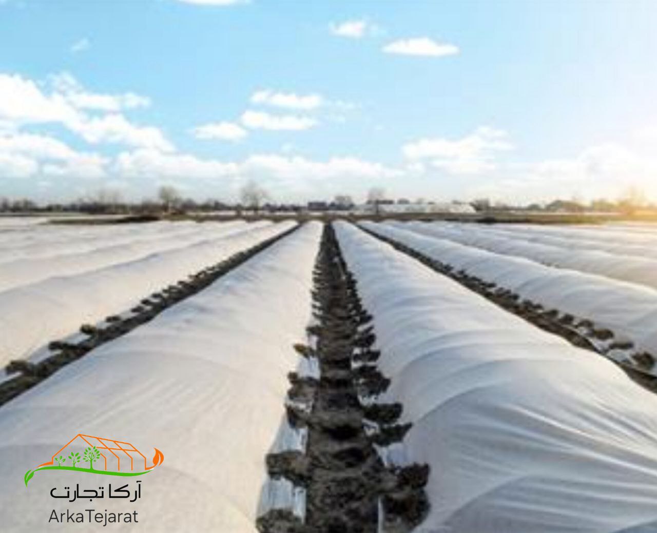 تصویر 1 از سفارش مستقیم کاور ضد سرما گوجه‌فرنگی + بهترین قیمت بازار