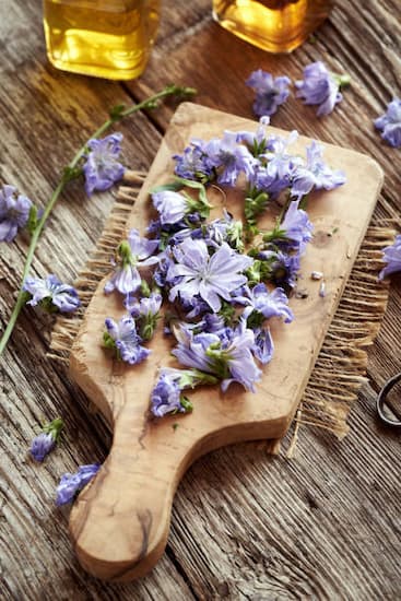 خرید عرق کاسنی