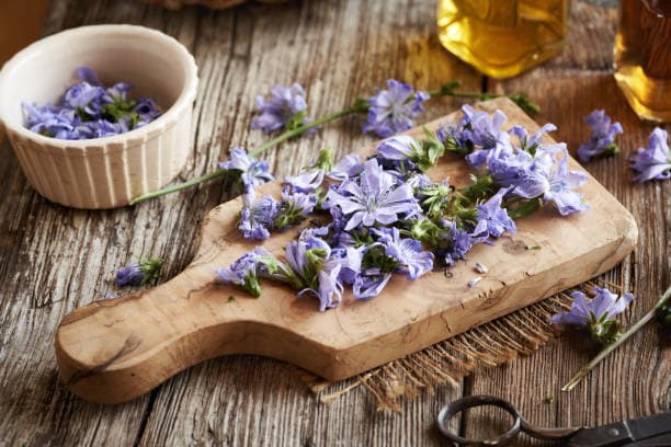 فروش عرق کاسنی