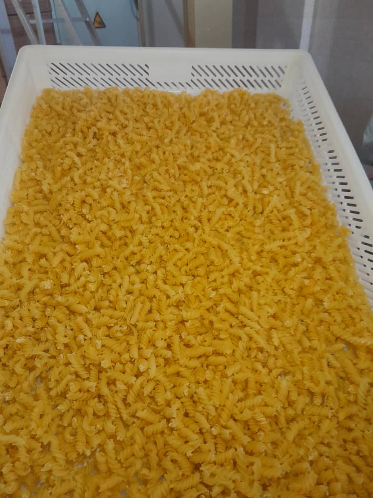 تصویر 4 از فروش عمده رشته سوپی سوزنی و آشیانه ایی + مستقیم از کارخانه