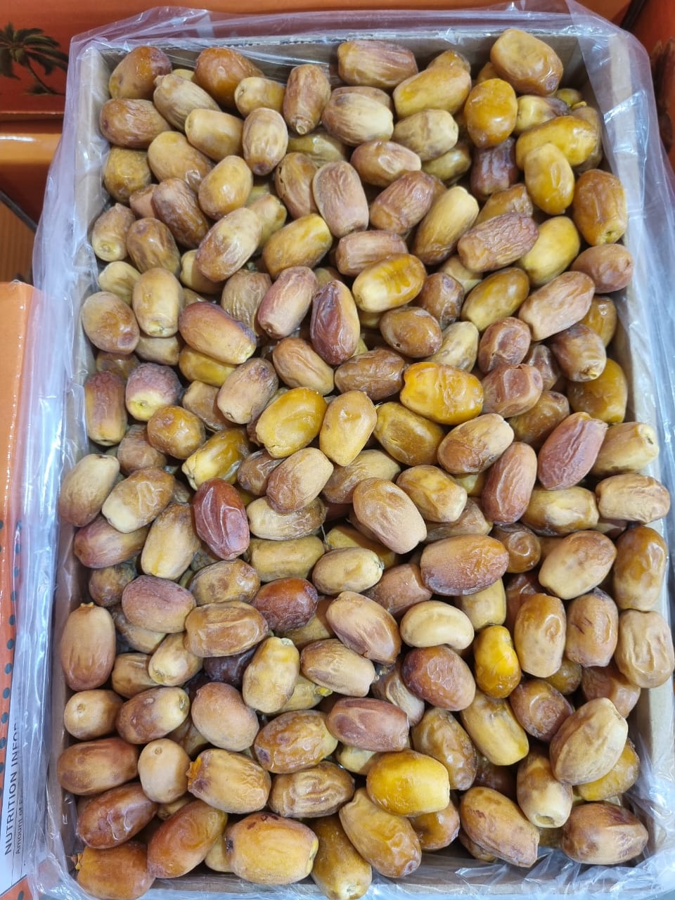 قیمت خرما جنوب