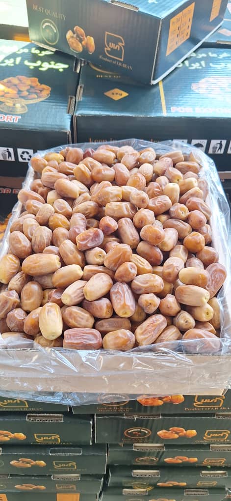 تصویر 1 از خرما مضافتی و زاهدی