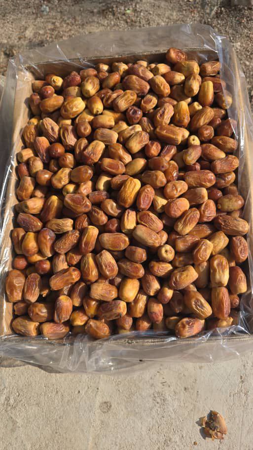 تصویر 1 از خرما زاهدی صادراتی بهترین کیفیت صادرات به کشور گرجستان عراق ارمنستان