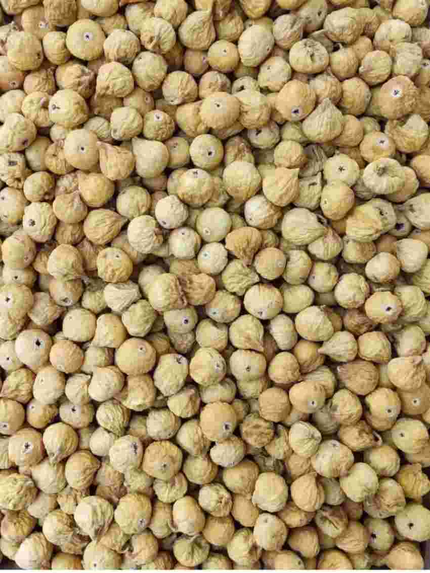 تصویر 4 از فروش ویژه انجیر خشک سفید صادراتی + قیمت خرید