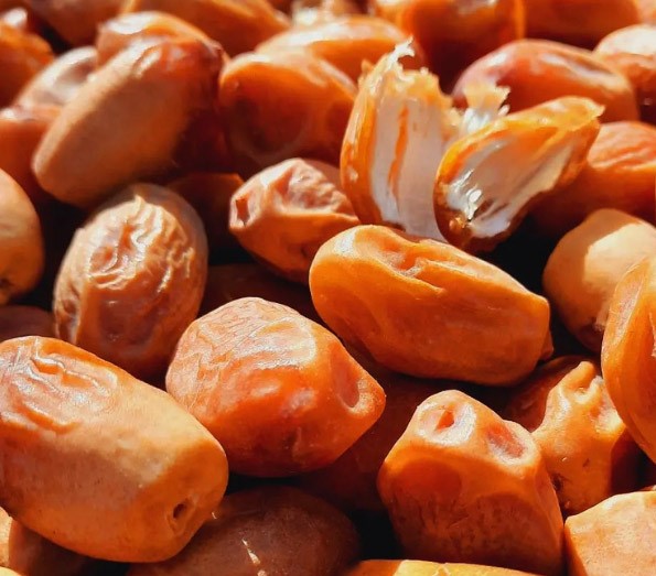 خرما زاهدی اصل در بازارهای جهانی