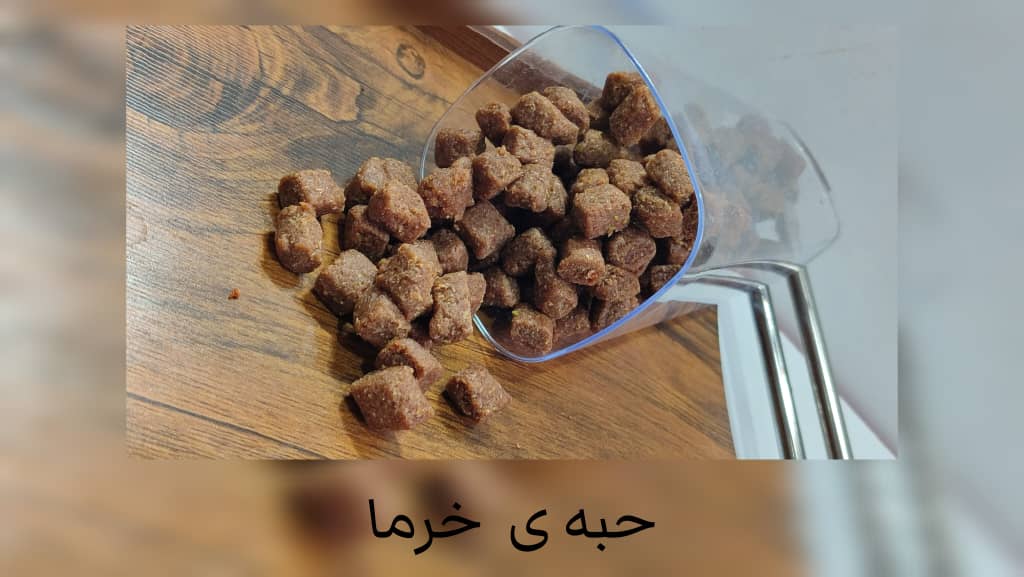 حبه خرما تمریران مناسب دیابتی‌ ها