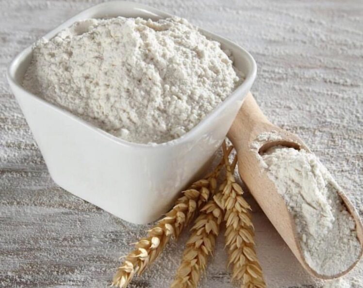 خرید پودر سفیده تخم مرغ صادراتی با کیفیت بالا