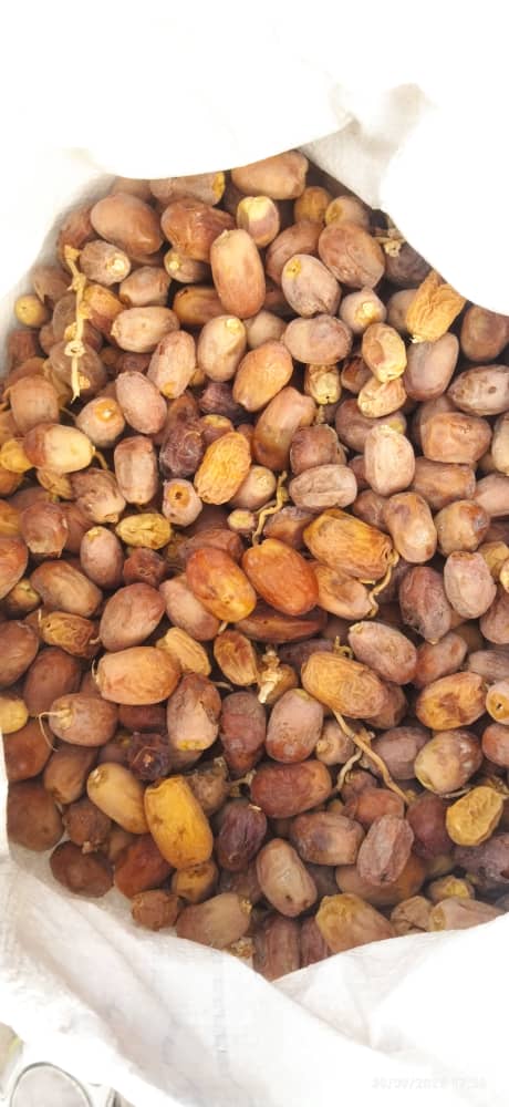 تصویر 3 از فروش خرما ضایعاتی جنوب کرمان