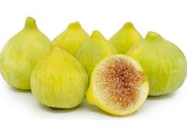 تصویر 5 از فروش ویژه انجیر سفید طارم + قیمت خرید