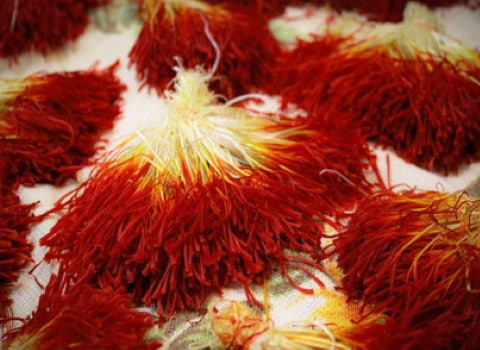 تصویر 2 از زعفران یک گرمی مناسب مصارف خانگی و رستورانی