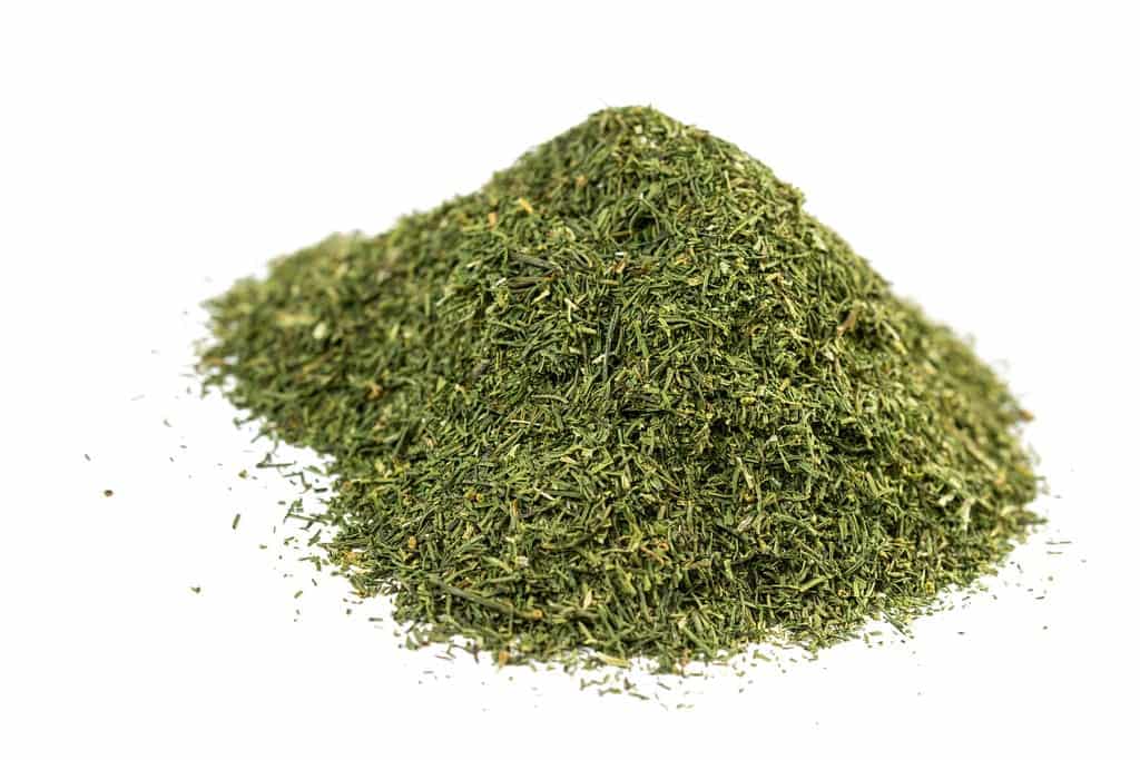 تصویر 4 از خرید و قیمت شوید خشک برند صادراتی + فروش عمده