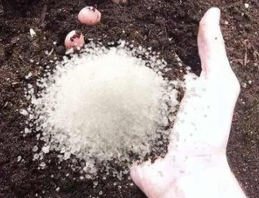 تصویر 3 از قیمت کود هیدروژل جهت کاهش مصرف آب و افزایش عملکرد