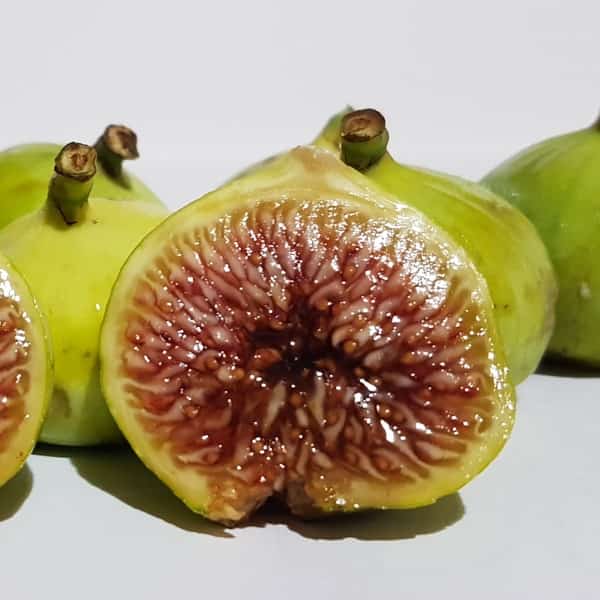قیمت انجیر خشک