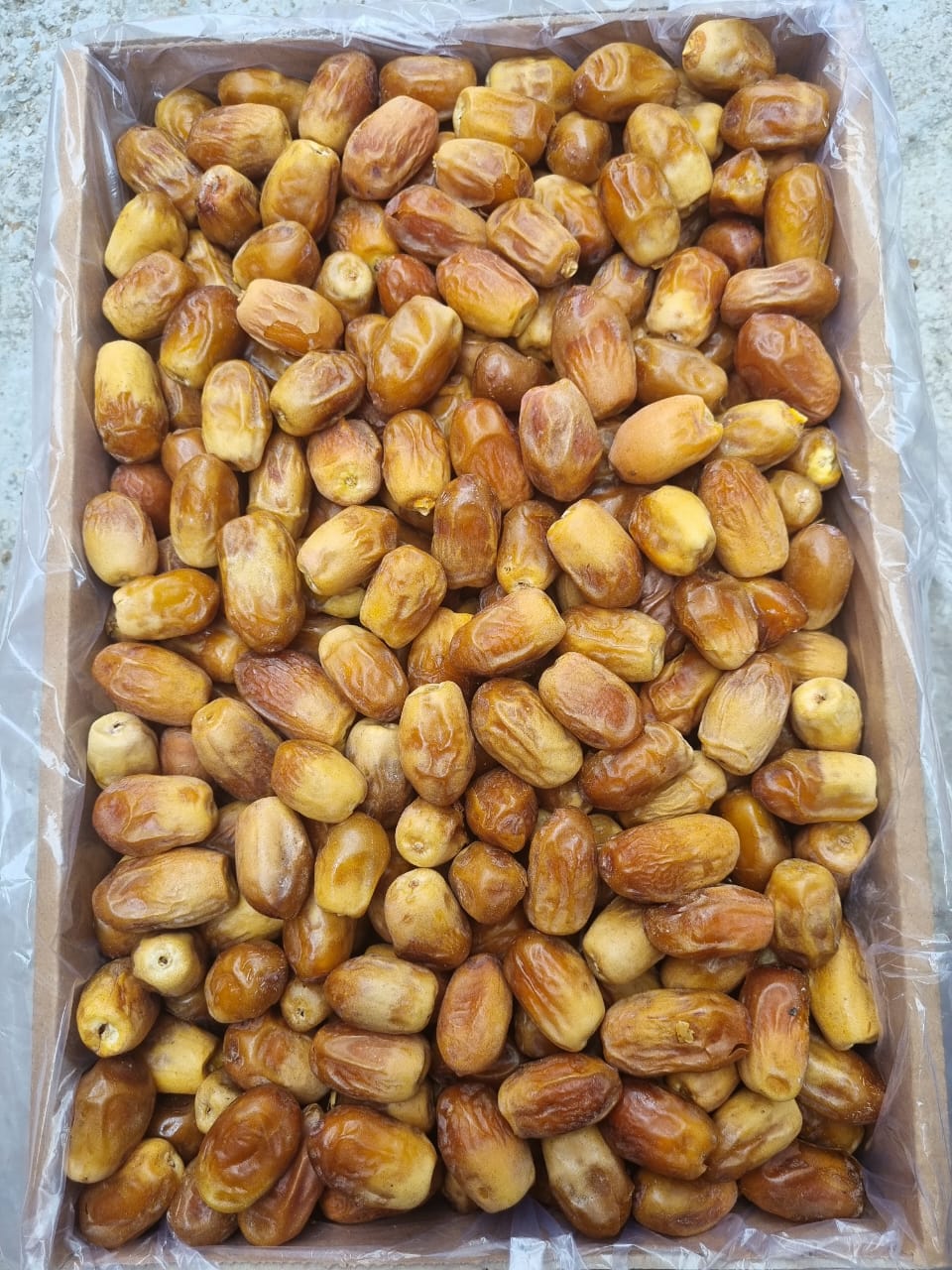 تصویر 3 از خرما زاهدی درجه یک داخلی صادراتی به کشور های اروپا