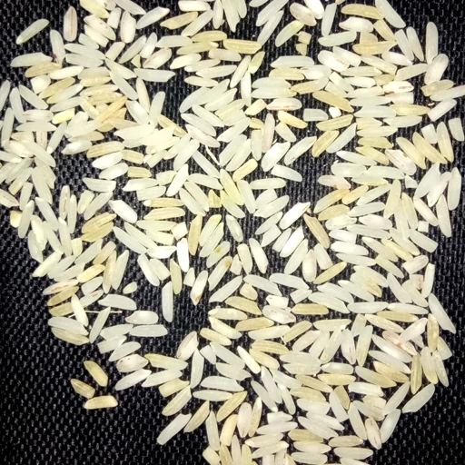 برنج هاشمی زرد دم انتخابی حرفه‌ ای برای پخت ایرانی