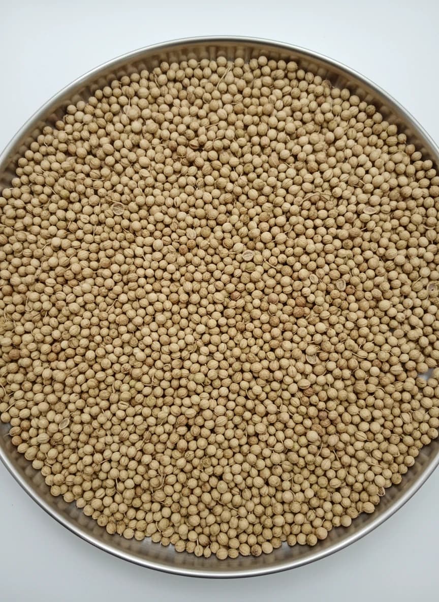 تصویر 1 از خرید گشنیز سورت‌ شده مخصوص آسیاب صنعتی