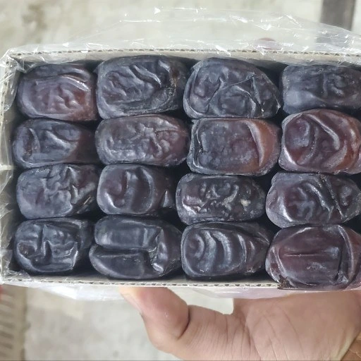 تصویر 3 از خرما مضافتی نرم و مرغوب