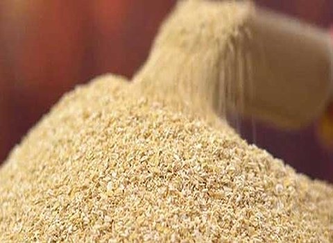 خرید سبوس گندم خالص + قیمت روز و تحویل سریع