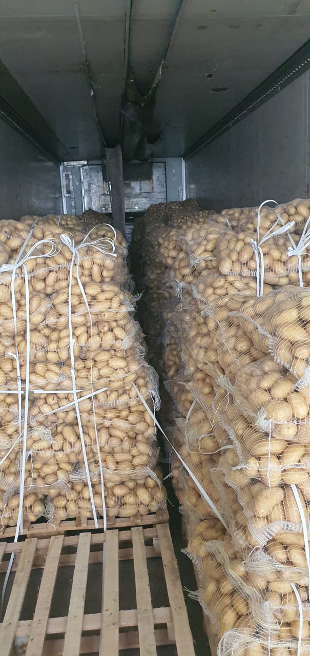 قیمت سیب زمینی بسته ای