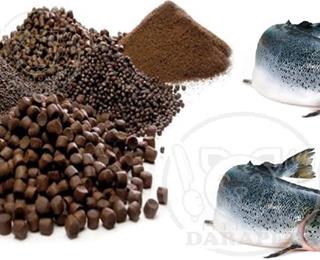 تصویر 1 از غذای ماهی پافر مناسب برای رژیم غذایی متنوع