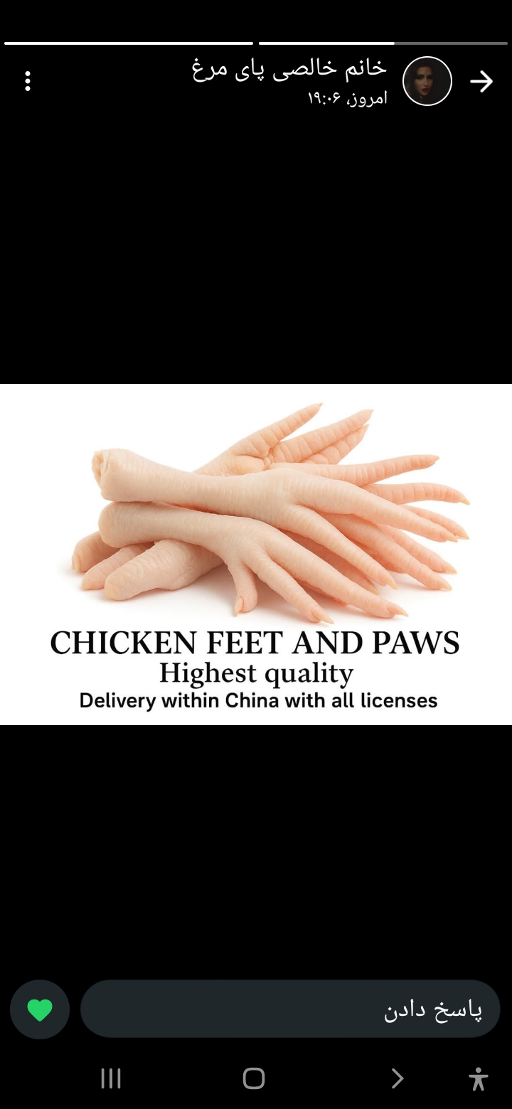 تصویر 3 از خرید عمده پای مرغ صادراتی wholesale  chicken feet
