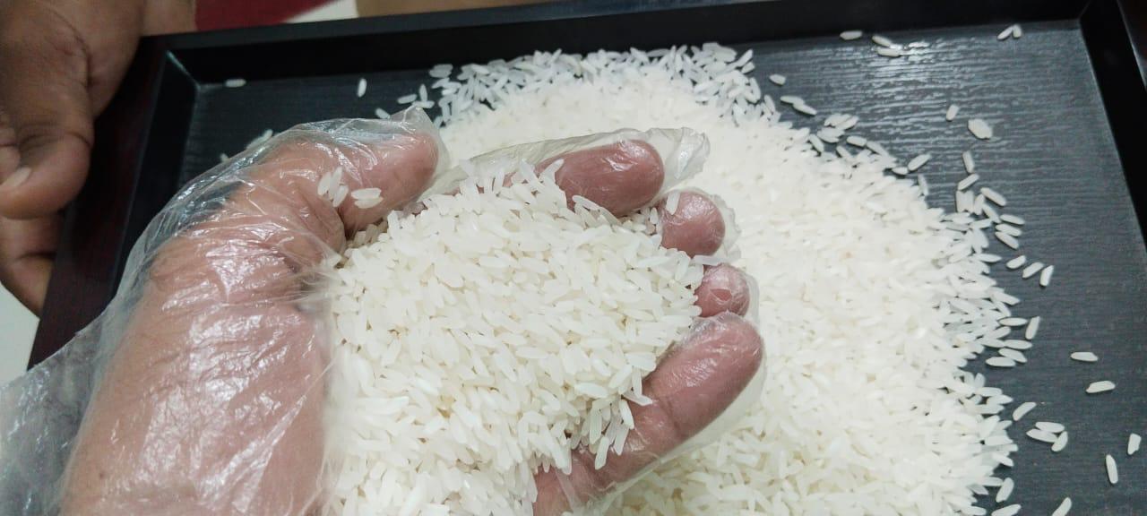 خرید برنج شمال از کارخانه – بدون واسطه و با قیمت رقابتی
