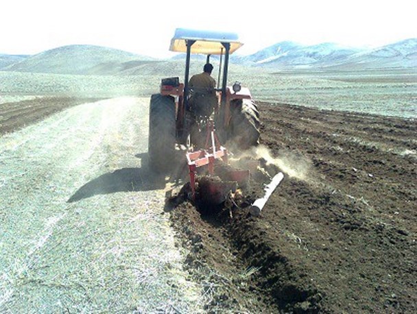 تصویر 3 از گاوآهن کردستان برای پویا سازی کشتزار و بازآرایی بستر خاک