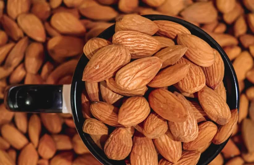 تصویر 3 از بادام شیرین خشک با کیفیت ممتاز و طعم دلپذیر