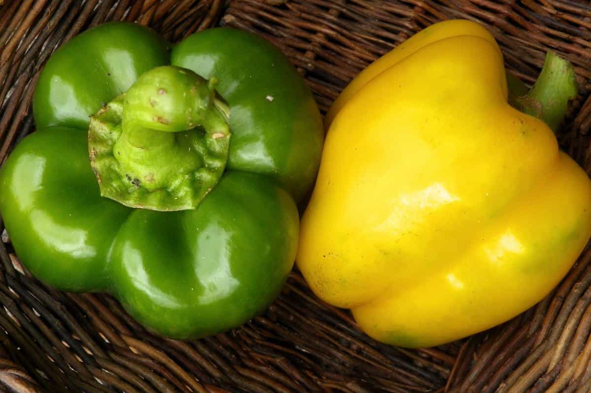 تصویر 4 از فلفل دلمه‌ای رنگی خانگی با طعم طبیعی و عالی
