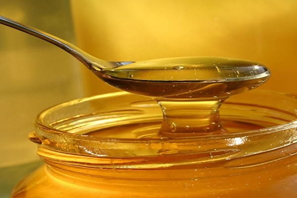 تصویر 4 از عسل کندو جنگلی و ویژگی‌ های خاص آن